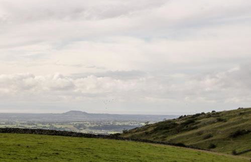 Down the Rabbit Hole - Foto 37