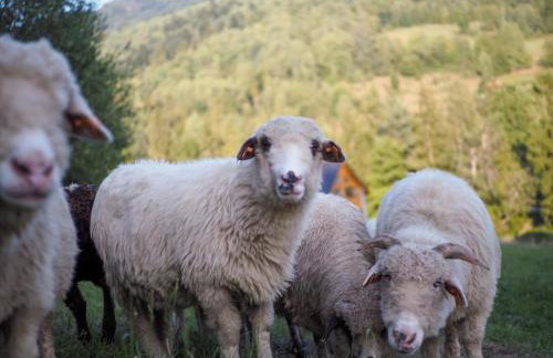 HillOut - Domek w Milówce - Workation - Praca zdalna - Foto 66