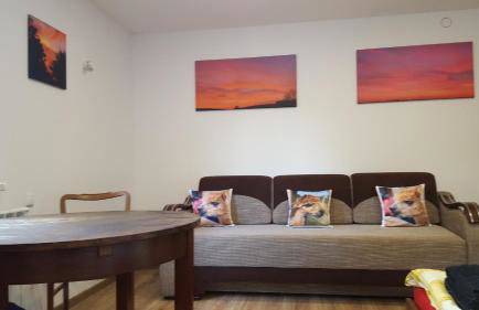 Alpaka-Ranczo AFF - Foto 40