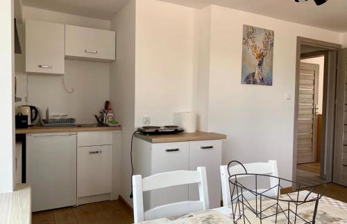 Wiatr i Woda Wdzydze - Foto 18