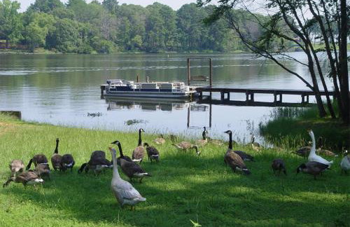 Lake Palestine Family Getaway with Waterfront Deck - Foto 28