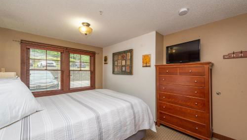 A120 One Bedroom Standard View - Foto 5