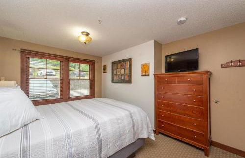 A120 One Bedroom Standard View - Foto 5