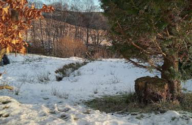 The Wee Bothy at Larchwood Croft - Photo 19
