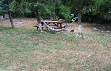 Sofia's Garden - Photo 27