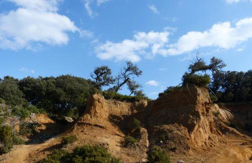 Apartmani Milena - Foto 79