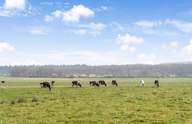 Cozy Chalet With Garden - Foto 36