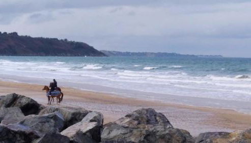 les mouettes - Foto 4