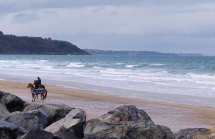 les mouettes - Foto 4