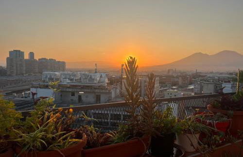 da Roberto - Foto 42