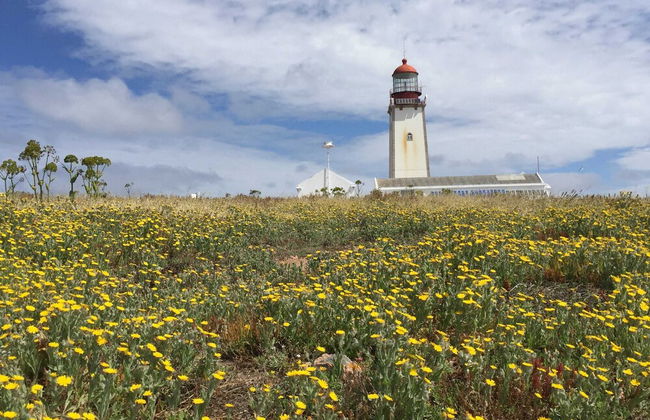 Villa in Foz do Arelho With Pool & Beach - Foto 40