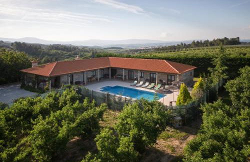 Feel Discovery Maçã Douro - Foto 1