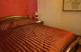 Casa Museu Nuno Miguel Henriques - Foto 15