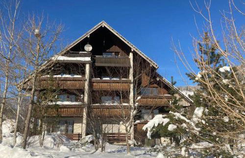 Gemütliche Ferienwohnung in Sankt Blasien - Foto 36