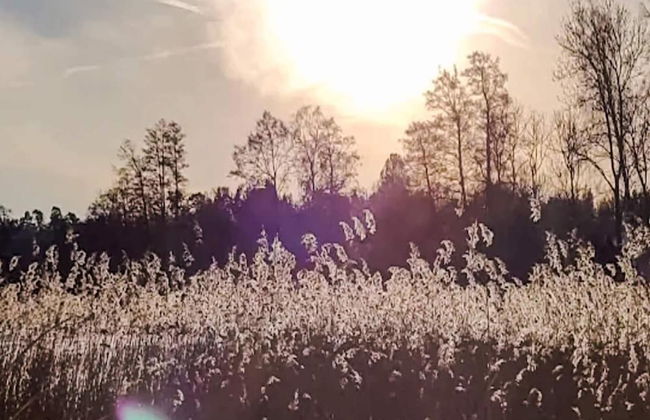 4 Person Holiday Home in Granna-by Traum - Photo 50