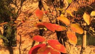 Corte Motte - Foto 5