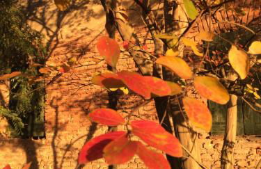 Corte Motte - Photo 5