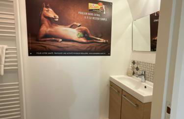 Appartement "Poulain" en Centre-ville linge inclus - Foto 12