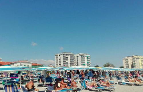 Cortina 1-85 - Photo 27