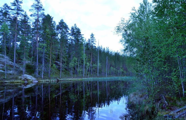 Salkolahti Tontti - Foto 1