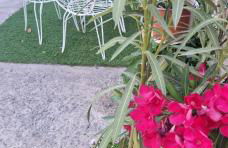 Ferienwohnung mit Panoramablick in der Finca Gran Calma - ideal für Wanderer - Foto 26