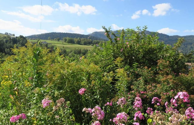 Chalet in St Maurice Near Ballon D'alsace - Foto 38