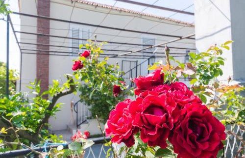 Villa Dalmatian Gem - Photo 3