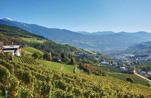 Strasserhof tenuta-Weingut - Foto 10