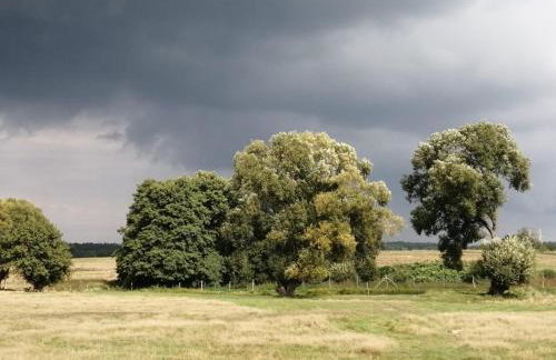 Smocze Ranczo - Foto 44