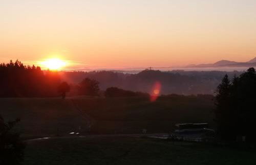 Schwaigerhof - Foto 24