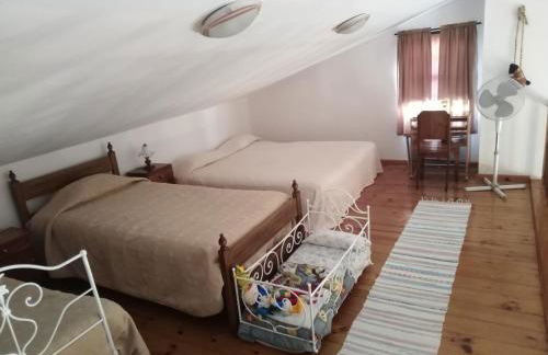 Adega Ilhéu - Photo 16