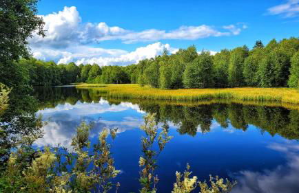 Habelberg Apartments - Foto 26