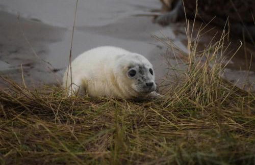 Wheelwright's Rest, Legbourne, Louth - Foto 24