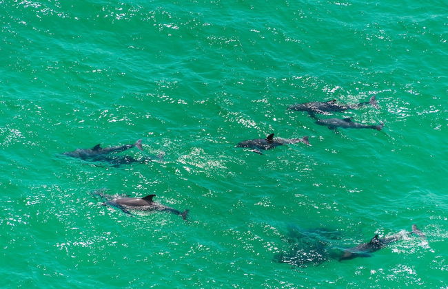 Aqua Resort 1705 - Foto 59