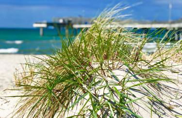 Strandbude 204 - Foto 30