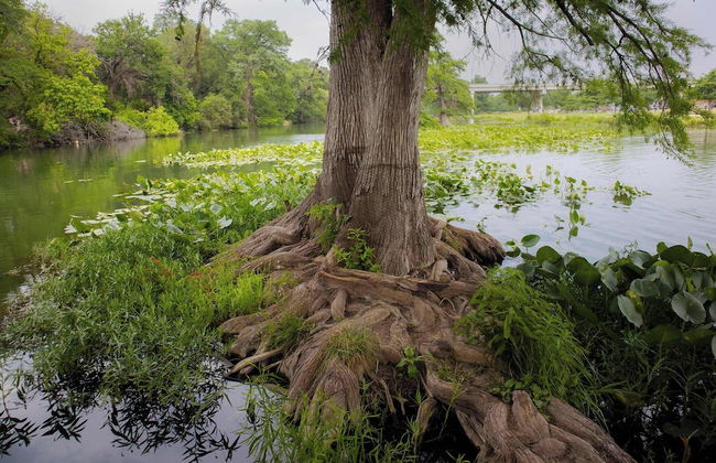 Mariposa Monarch Walk to River - Foto 20