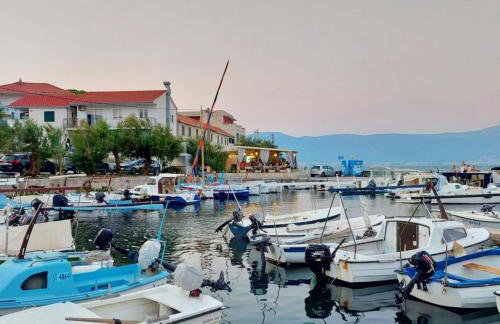 Apartment LIPA - Foto 21