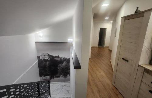Šimun i Roko - Foto 1