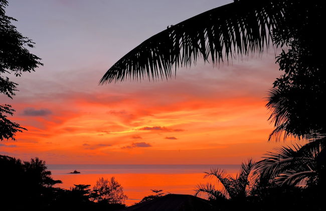 Red Coconut Self Catering - Photo 49