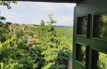 Country House Etno Kuca pod Okicem - Foto 66