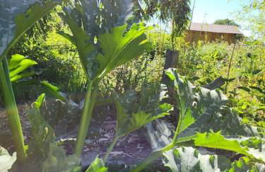 Etape à la campagne - Photo 5