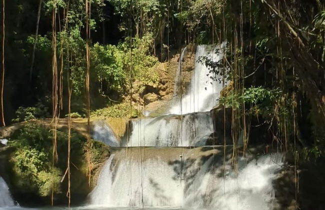 Seacret Studios - Cozy Jamaican Retreat Apts by RedAwning - Photo 7