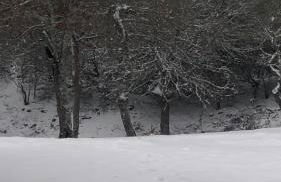 Perfect Country-Side Get-Away - Photo 47