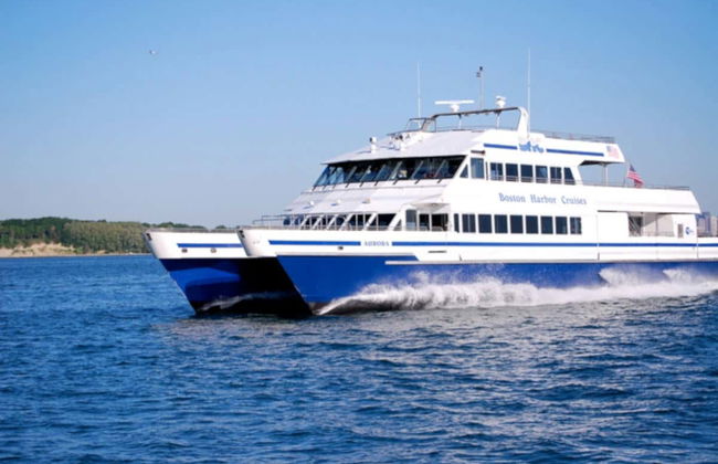 Boston Whale Watching Cruise - Foto 3