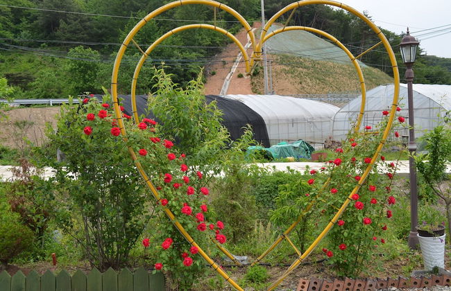 Pension Cafe Yoon & Park - Foto 35