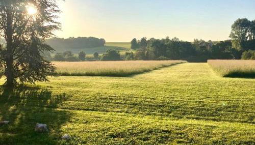 Le Mas, Maison de maître, Cognac - Foto 3, Garden