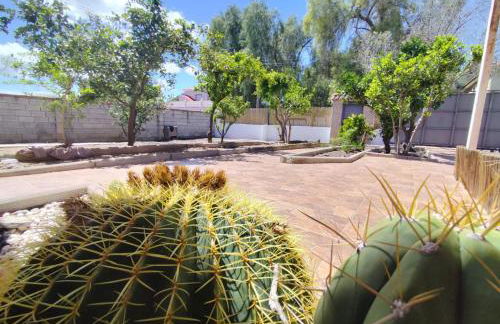 Finca La Senorita - Foto 7