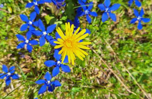 Apartment Romana - Foto 13