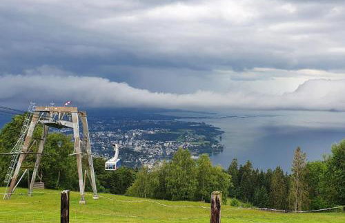 Grünes Allgäu - Foto 14