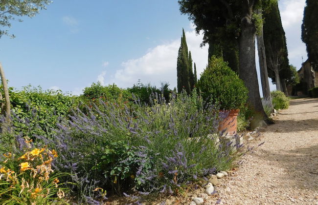 Macciangrosso - Foto 67